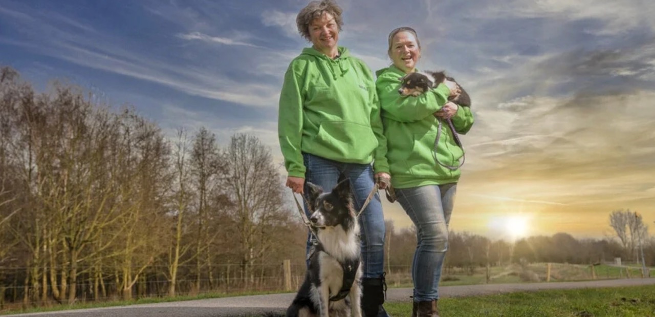 Foto bij bericht hond op school groot